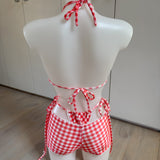 Red Gingham Bikini Set & Shorts