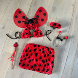 Ladybug Costume