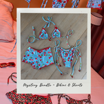 Gingham Cherry Print Bikini and Micro Shorts
